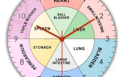 Circadian Rhythm TCM Tips for Women Over 40