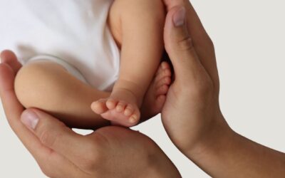 What to Eat During Preconception for Fertility