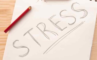 When Stress Lives in the Body: A Whole-Person Approach to Stress: How Counselling and Holistic Care Work Together